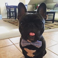 Original reference photo