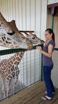 Original reference photo