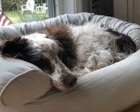 Original reference photo