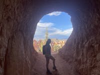 Original reference photo