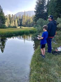 Original reference photo