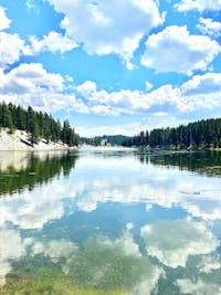 Original reference photo