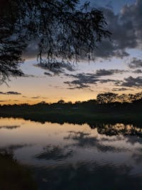 Original reference photo