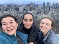 Original reference photo