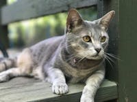 Original reference photo