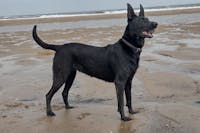 Original reference photo