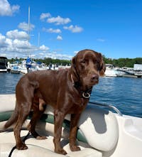 Original reference photo