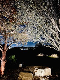 Original reference photo