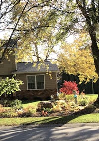 Original reference photo