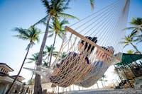 Original reference photo