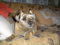 Original reference photo