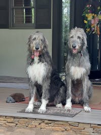 Original reference photo