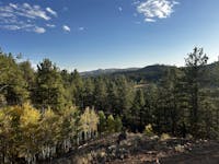 Original reference photo