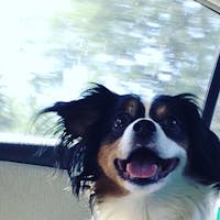 Original reference photo